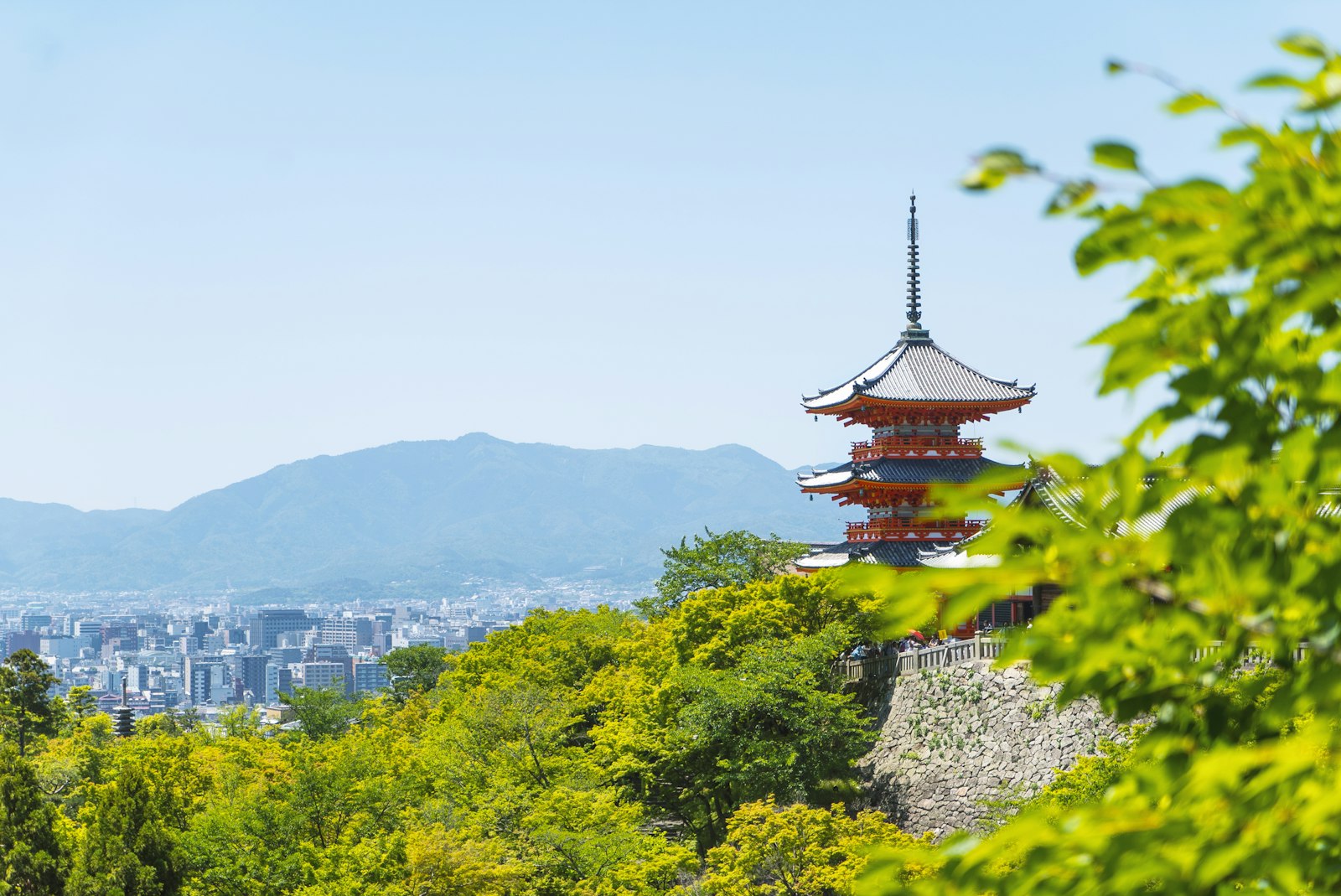 Japanese temple above green trees and the city