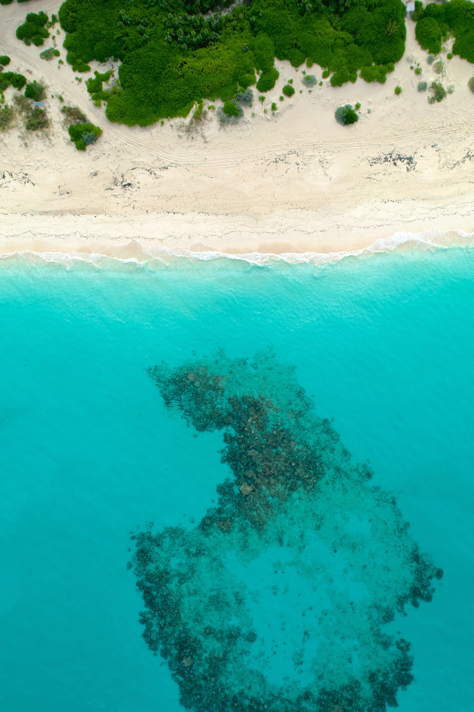 White sand and turquoise water on Rose Island in the Bahamas