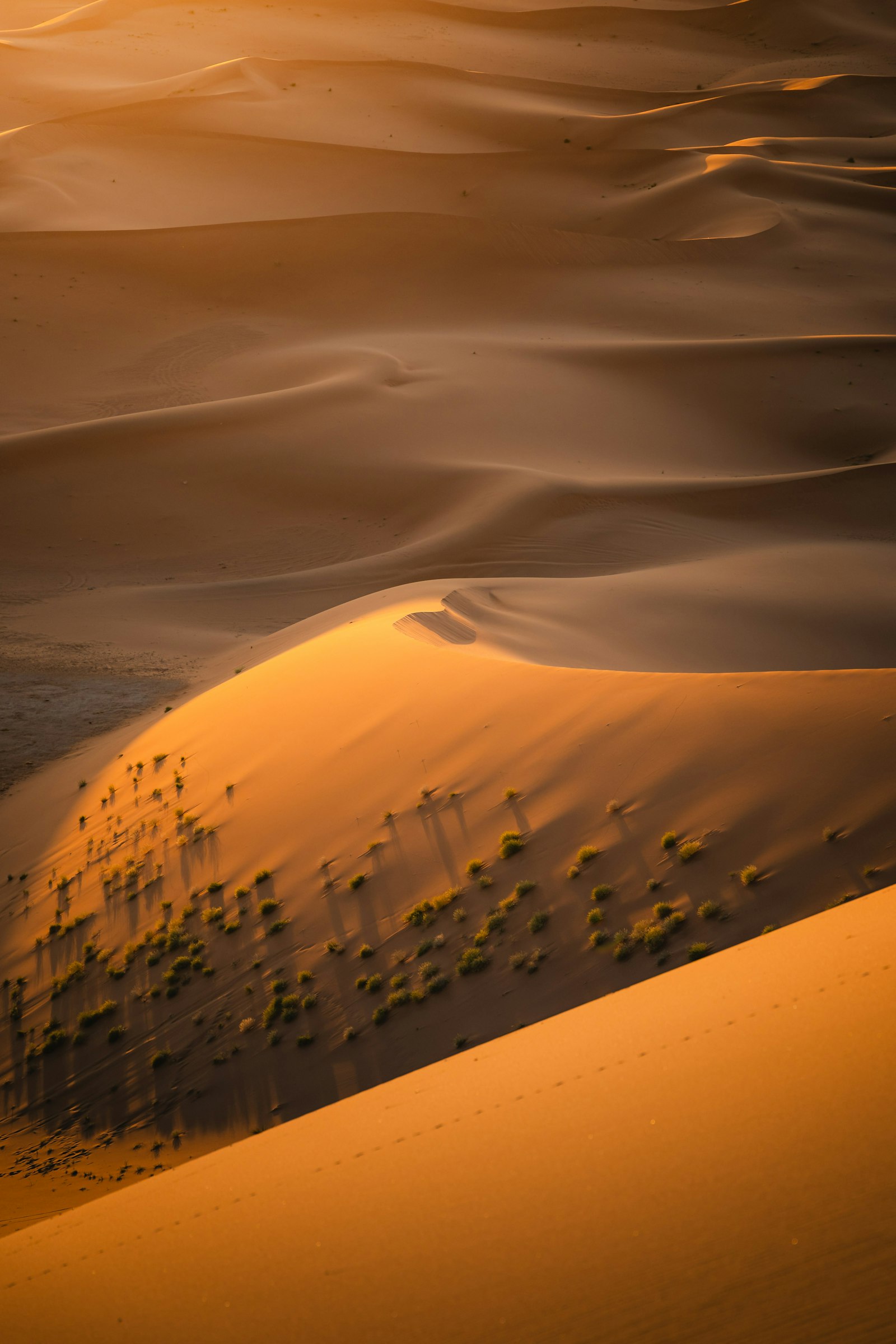 Sunlight across golden desert dunes