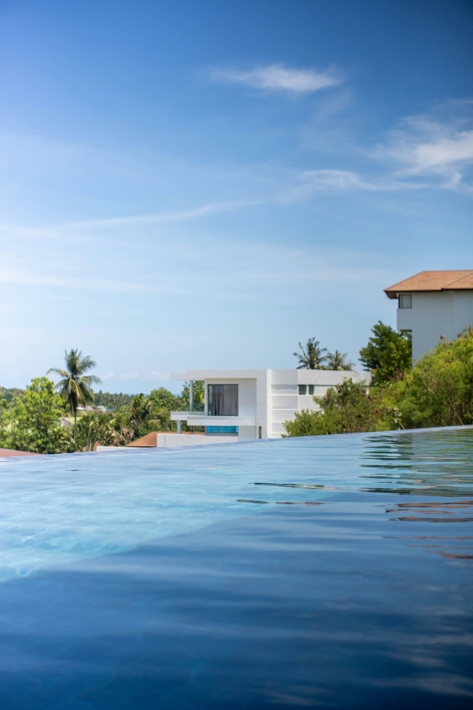 Infinity pool beside contemporary tropical accommodation