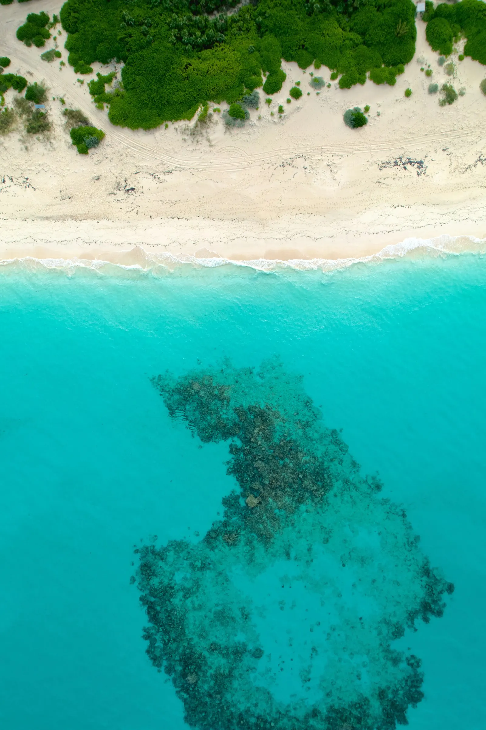 White sand and turquoise water on Rose Island in the Bahamas
