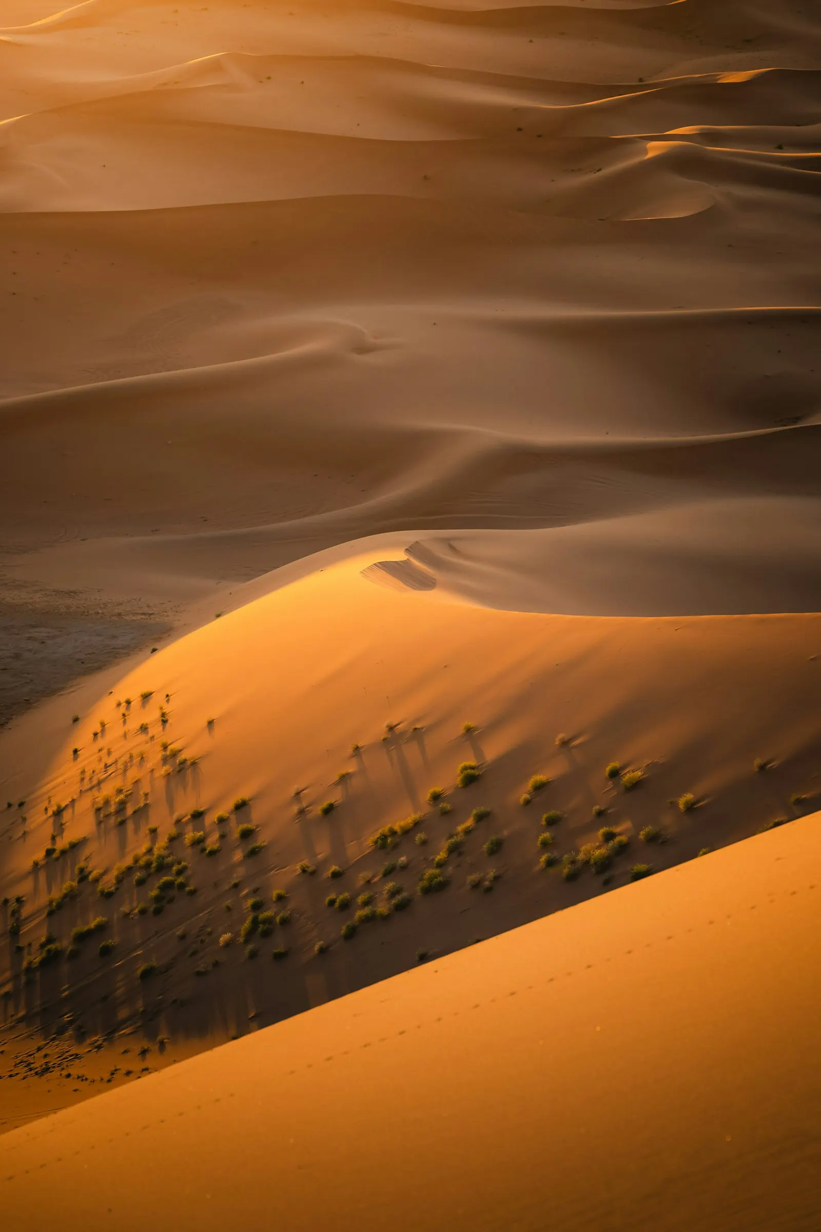 Sunlight across golden desert dunes