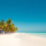 Secluded luxury beach with turquoise water and palm trees.