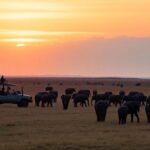 Véhicule de safari avec des éléphants dans un coucher de soleil africain.