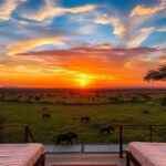 Safari de luxe au coucher du soleil avec une faune exotique et des tentes.