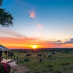 Luxuoso lodge de safári na selva africana ao pôr do sol.