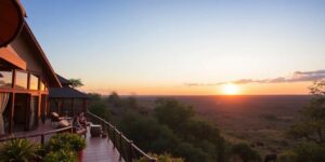 Read more about the article Die Erkundung der luxuriösesten Safari-Lodges und -Camps der Welt