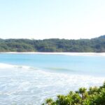 Secluded beach with lush greenery and calm waters.