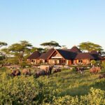 Lodge de safári privado com vida selvagem na paisagem africana.