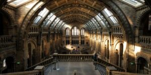 Read more about the article Museums That Offer After-Hours Private Tours for Luxury Travelers