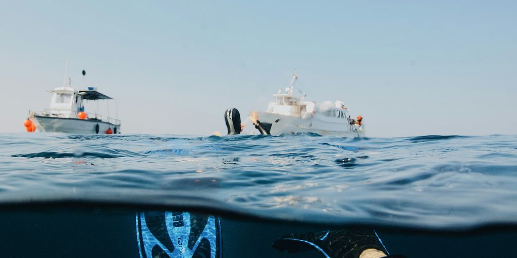 You are currently viewing Yachts with Submersibles: How to Plan Reef and Wreck Dives in Privacy