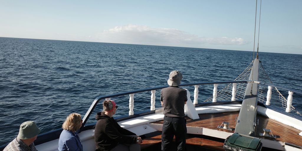 Read more about the article Private Galapagos Charters with Scientists: Family-Friendly