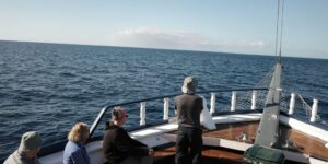 Read more about the article Private Galapagos Charters with Scientists: Family-Friendly