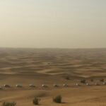 brown dessert during daytime