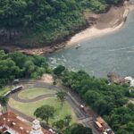 aerial view of green trees near body of water during daytime