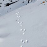 a person walking up a snow covered mountain