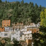 a hillside with a bunch of houses on it