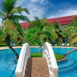 a swimming pool with palm trees in the background
