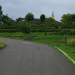 A car driving down a road next to a lush green field
