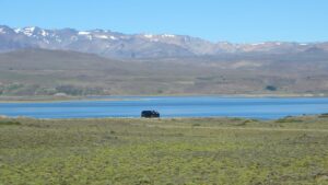 Read more about the article Patagonia Estancia Buyout with Gauchos and Private Lakes