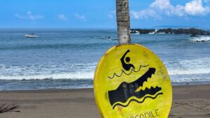 Read more about the article Costa Rica Private Villas with Surf Coaches and Biologist