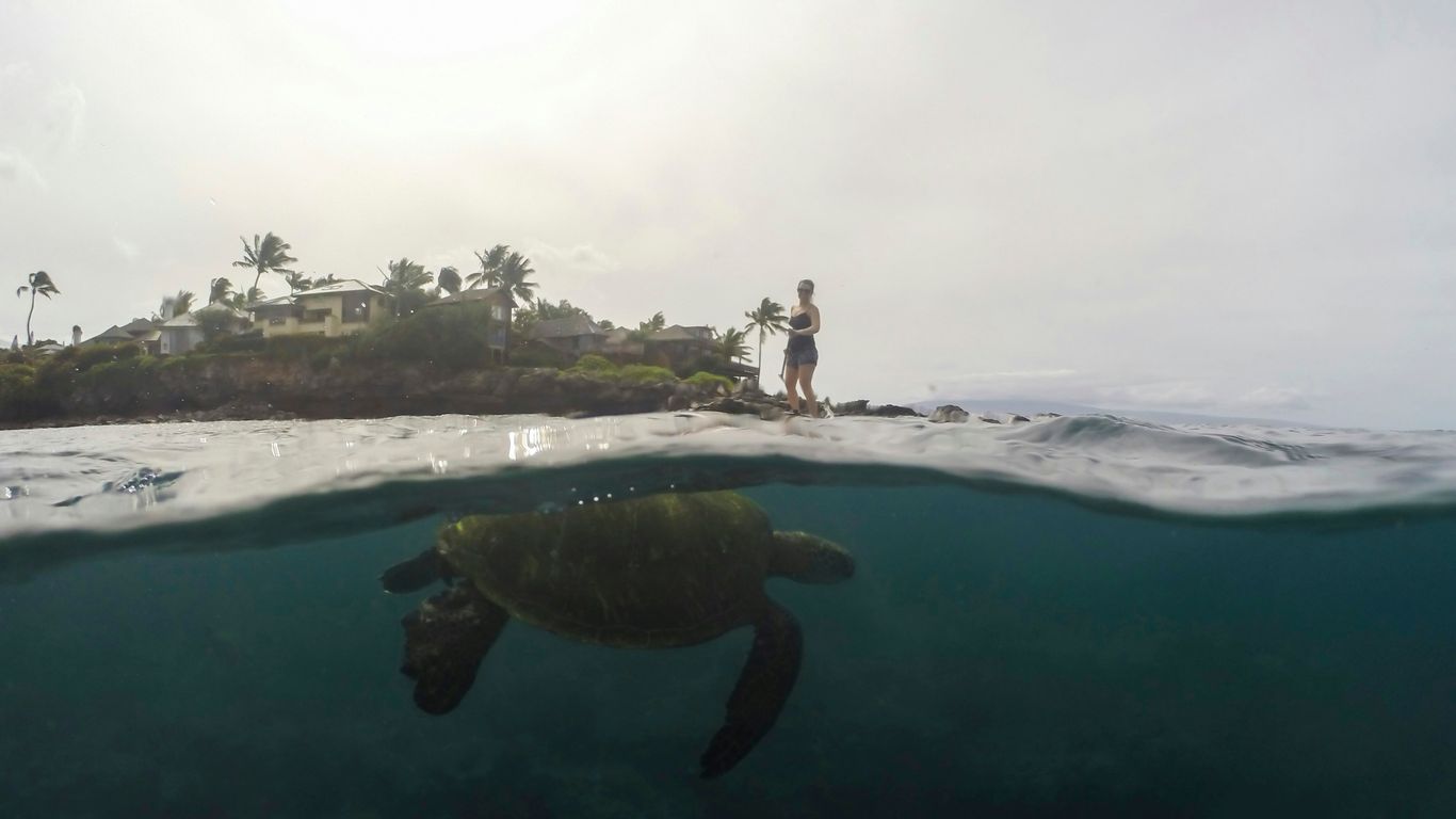You are currently viewing Maui Oceanfront Villas with Sea Turtles and Chef Luau