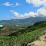 a view of the ocean from the top of a hill