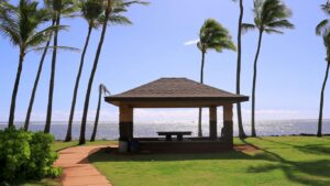 Read more about the article Big Island Flagship Homes with Astronomer and Sauna