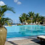 A large swimming pool with lounge chairs and palm trees