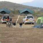 people in tent during daytime