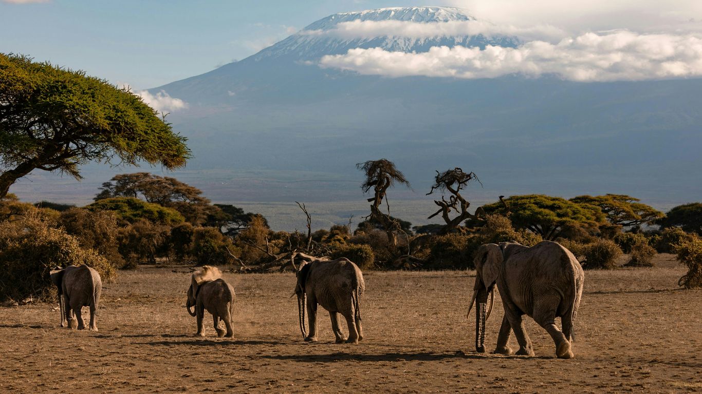 You are currently viewing Amboseli Villa Buyouts with Elephants and Mount Views