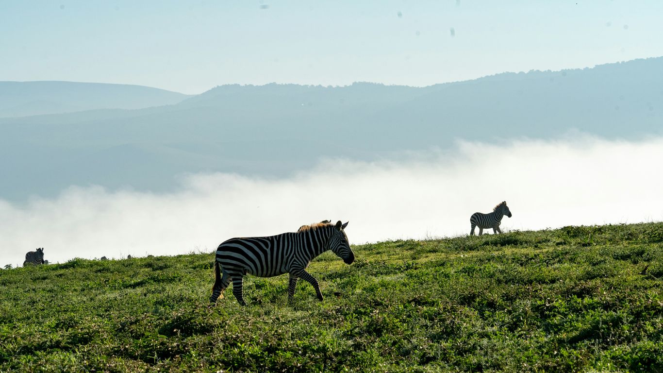 You are currently viewing Ngorongoro Crater Villas with Ranger-Led Walks and Chef