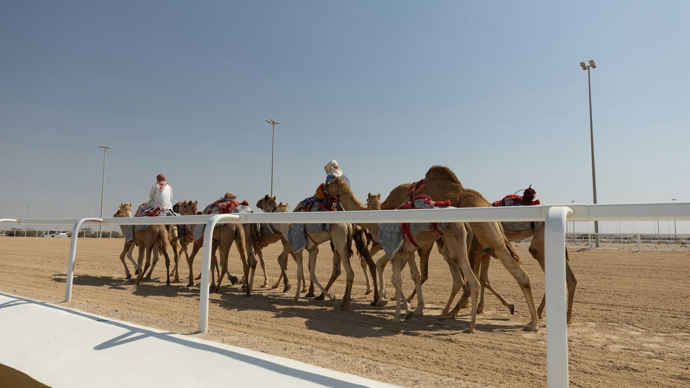 Read more about the article Qatar Flagship Suites with Desert Drives and VIP Fast-Track