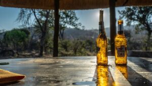 Read more about the article South Africa Private Reserves with Fine Wine and Spa