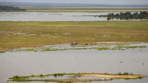 Read more about the article Kenya vs Tanzania for Conservancies and Private Vehicles