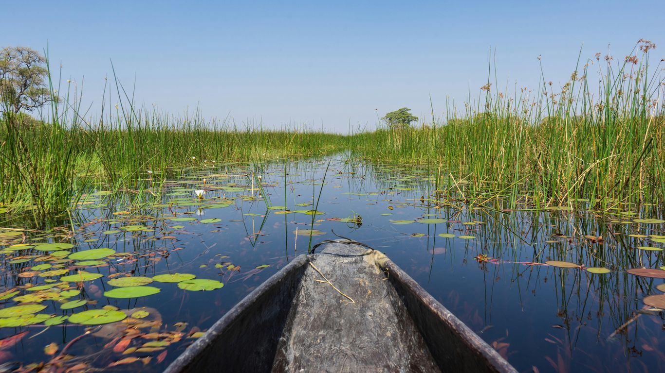 You are currently viewing Botswana Delta Camps with Mokoro Access and Plunge Pools