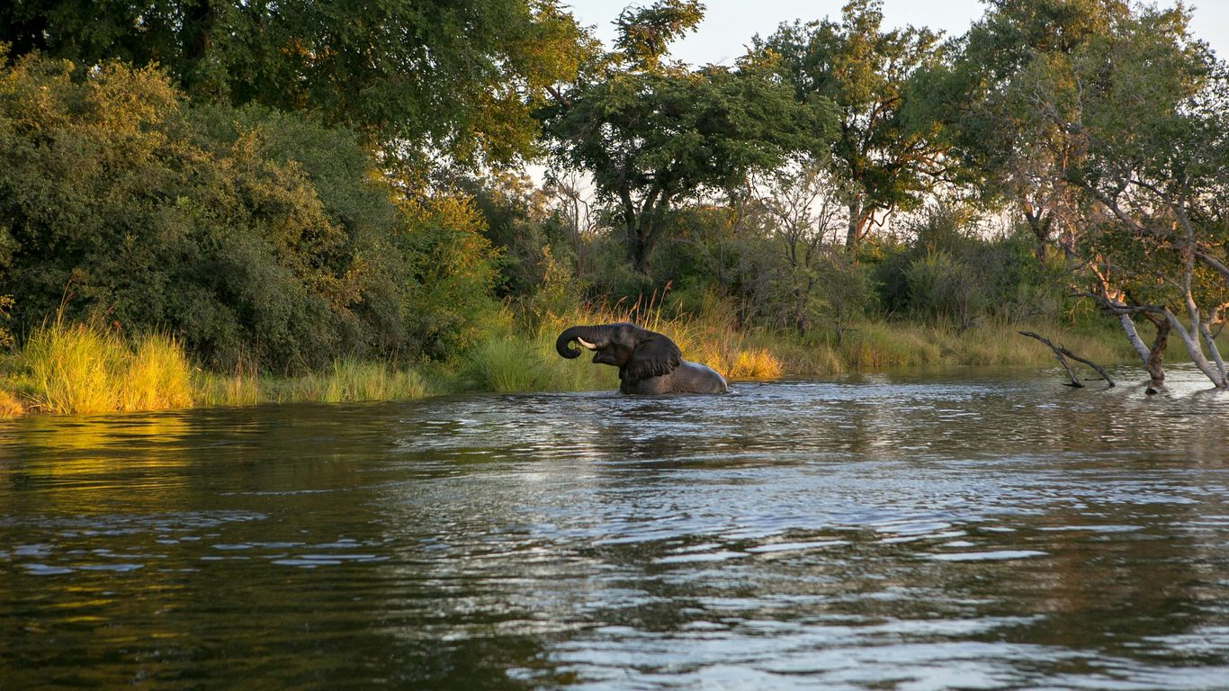 You are currently viewing Zambia River Lodges with Canoe Safaris and Sleepouts