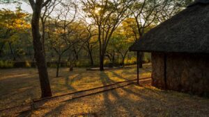 Read more about the article Zimbabwe Safari Houses with Falls Flights and Chef Teams