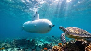 Read more about the article Private Submarine Charters with Marine Biologist Briefings