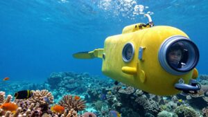 Read more about the article Yacht Submersible Dives Best for Reef Science with Kids