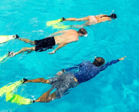 5.2_snorkelling_02-1