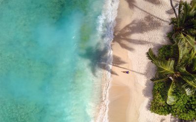 975x660_SSZLP_Beach_Grand_Anse_Guest_aerial_2018_140x87